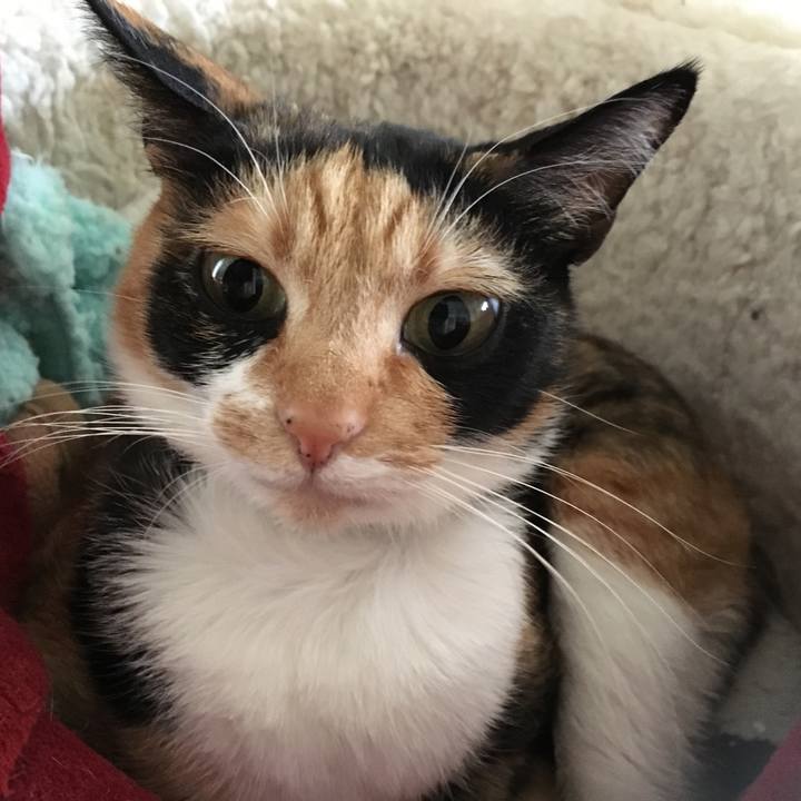 60f10ee8 7342 4a56 95a4 d34aa756305b