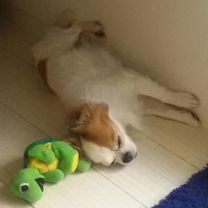 60f250f4 e003 438a b9ef 1ed0f4fba71f