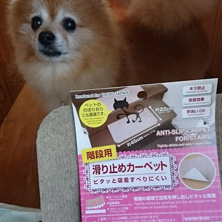 60f294ed 5483 416f 83dd d1fa7fb3a851