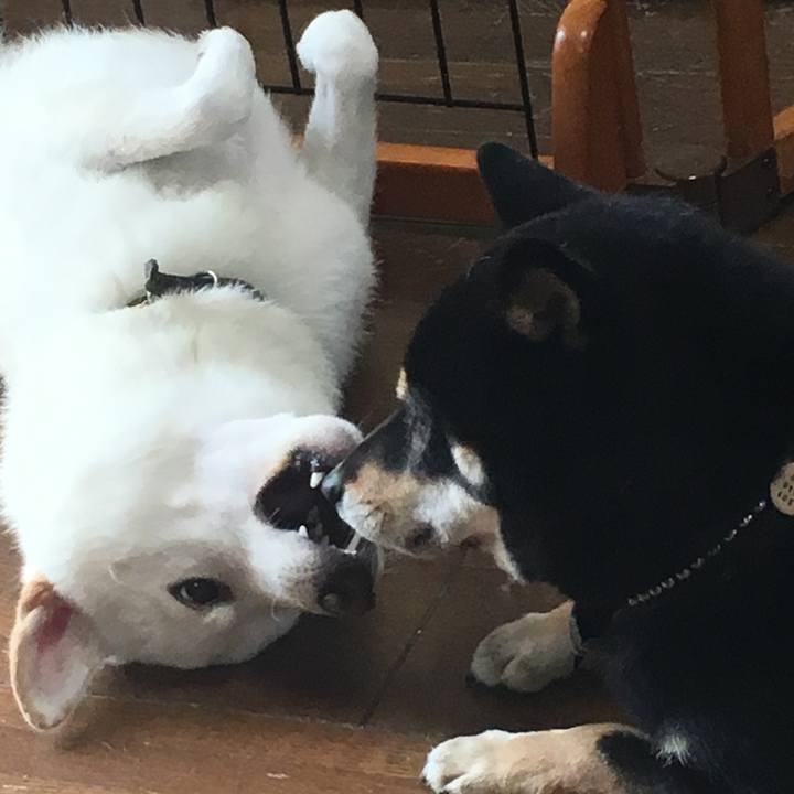 60f2e398 eda5 4b70 8bb5 eb91501b8a57