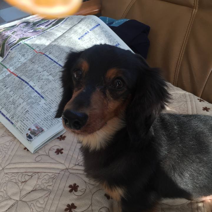 60f39d6f f5dd 4bbd b853 716f9738365c