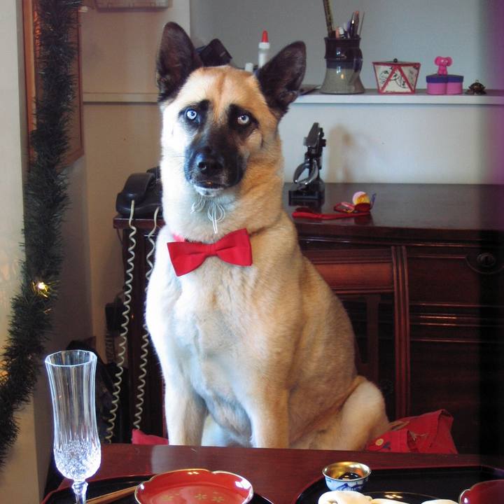 60f41963 1665 4271 b052 0de66eda5cab