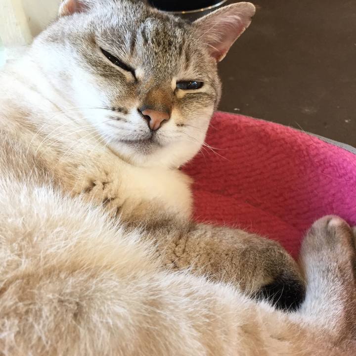 60f42077 5b4a 4e30 b362 193a23bd5f40