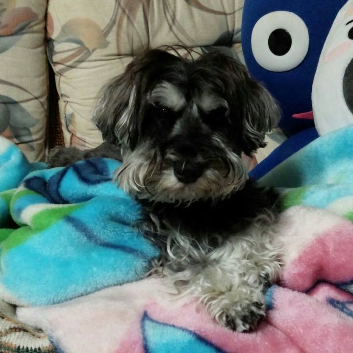 60f44186 3865 44f9 84a3 86029d3886a3