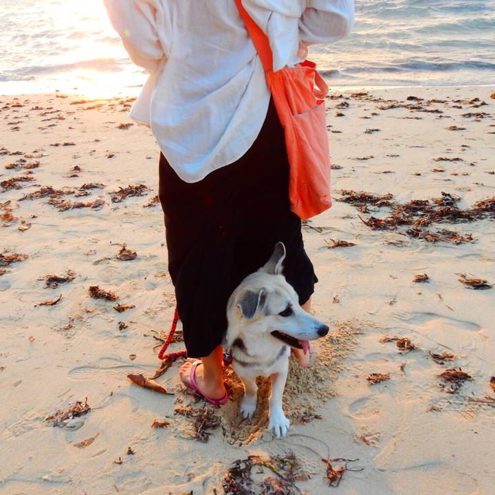 60f5ae85 29e2 4bf3 943f c352b0530d46