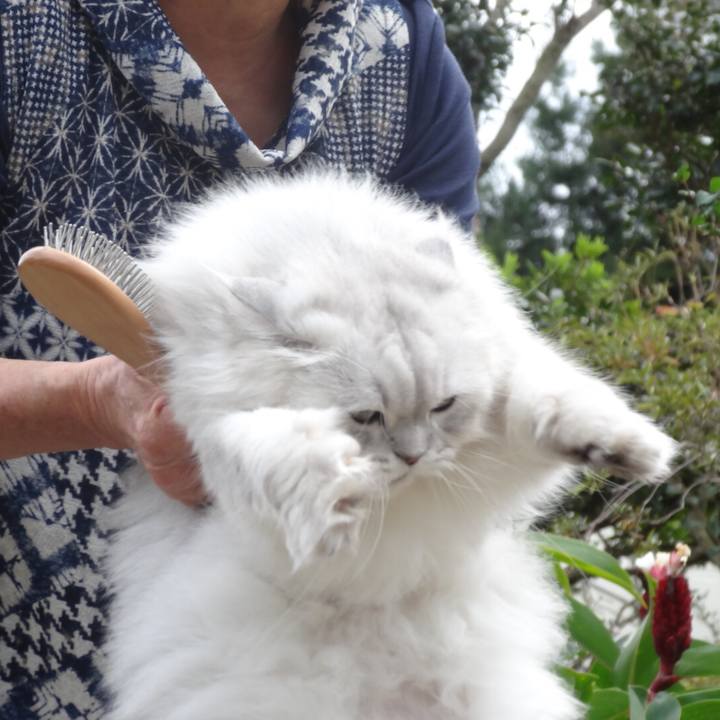 60f6b1cb f554 43e5 8c38 065a4e5377dc