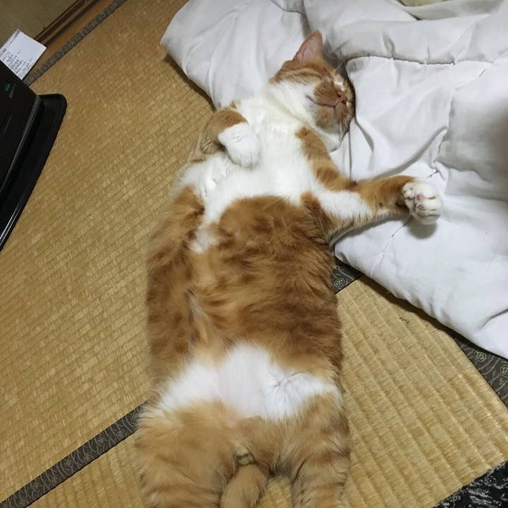 60f72c65 4c23 4898 a4c3 2a94a696aaa1