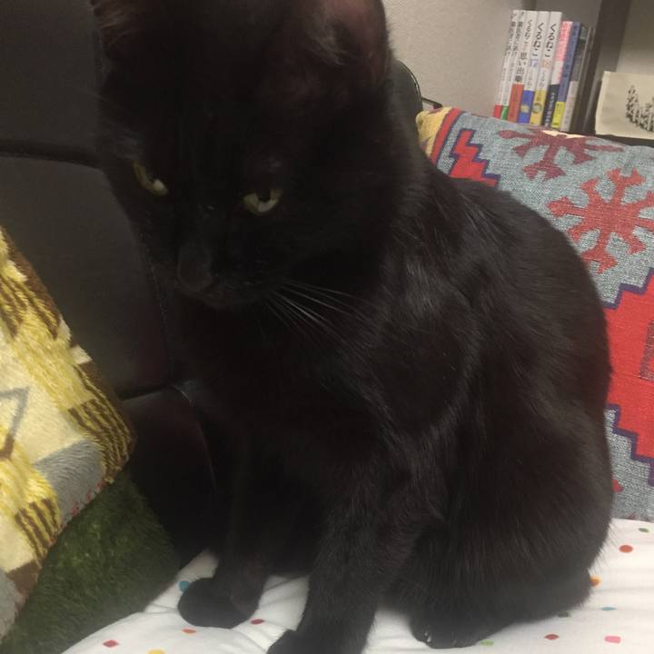 60f7d61e 4ba2 45f2 8d78 360bedf81c3f