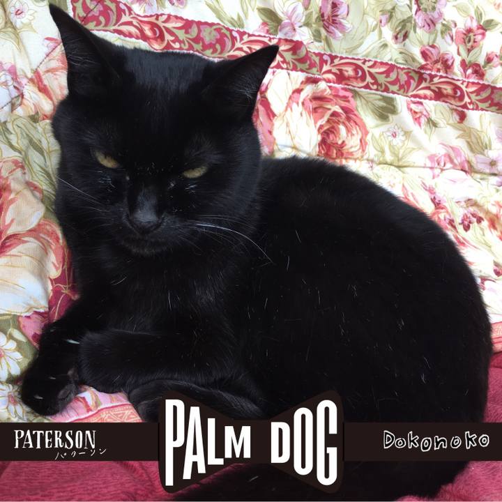 60f7d8b4 9fce 4629 b9cf 417d76ab0ae4