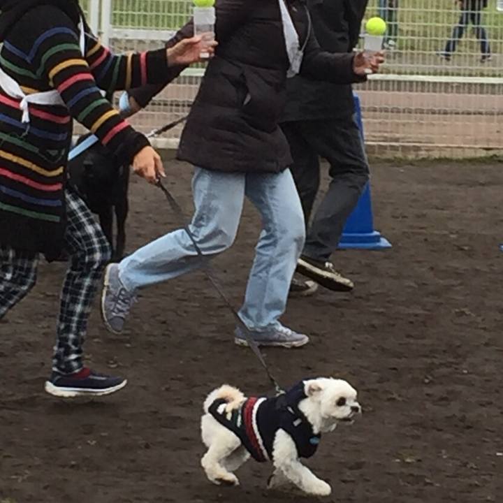 60f7dbc8 2275 4ff9 a3f5 5b708527d8ec