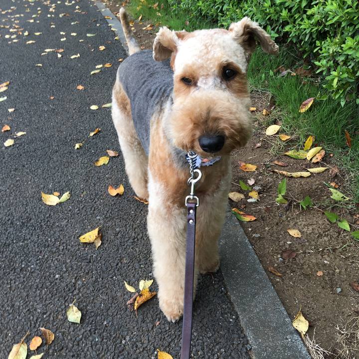 60f85552 0a97 4858 bc4d 1f816159f407