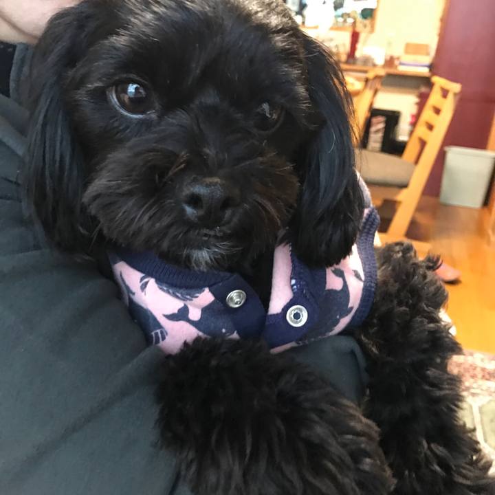 60f87ba7 68b2 4c98 8f99 568aa5fe8f3d