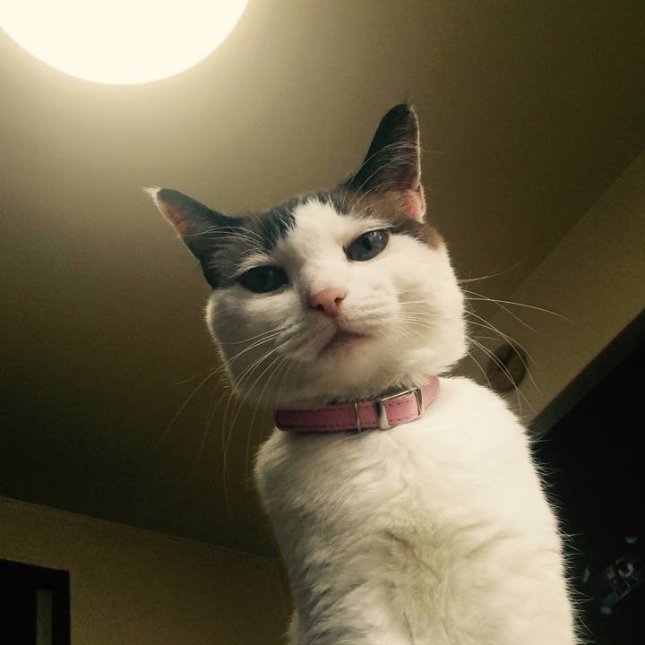 60f87c51 51fd 448b a71d 351c983bbb1a