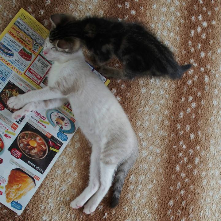 60f9b9a3 51cb 4b33 87f4 165c5a92b8f1