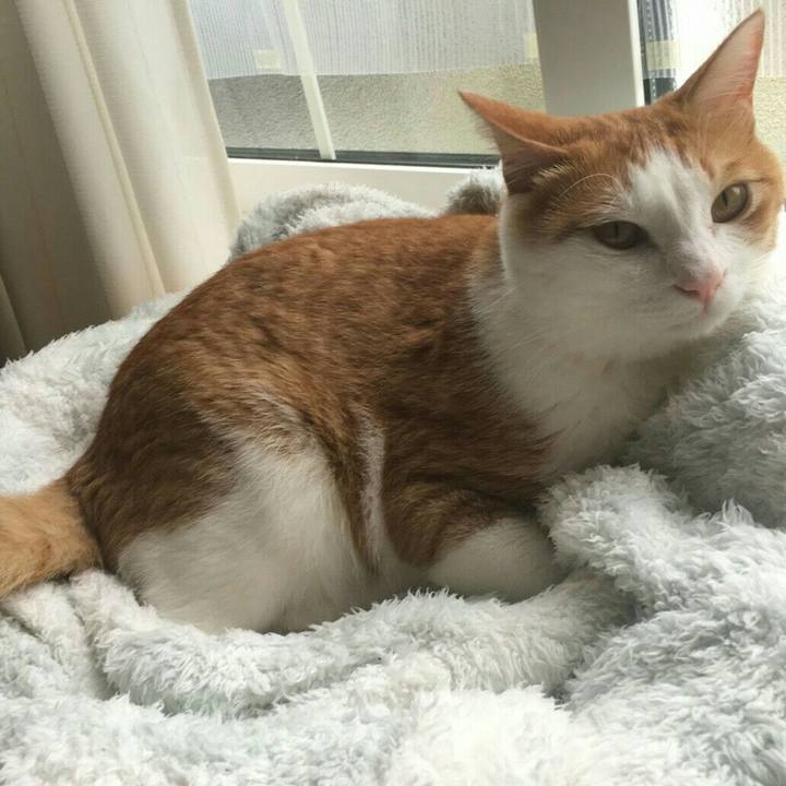 60f9bce3 00f8 48b1 87ee a0659768c12d