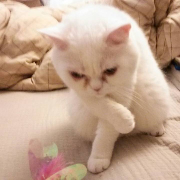 60f9c684 7d51 4a0b 9f3d 4b1dc439bcce