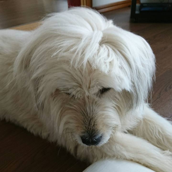 60f9e834 0bcb 486f b286 71b32bca5080