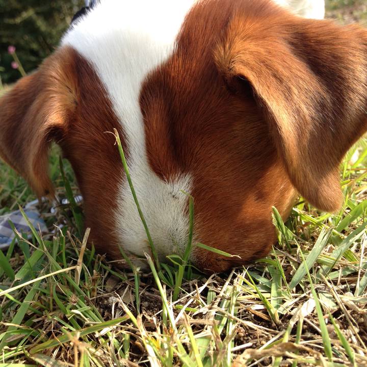 60fa3095 e202 4d7a a650 4d47e084f3a8