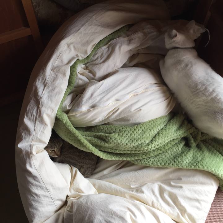 60fb0ea1 eb14 40dd 85ee 00b74adf7bb3