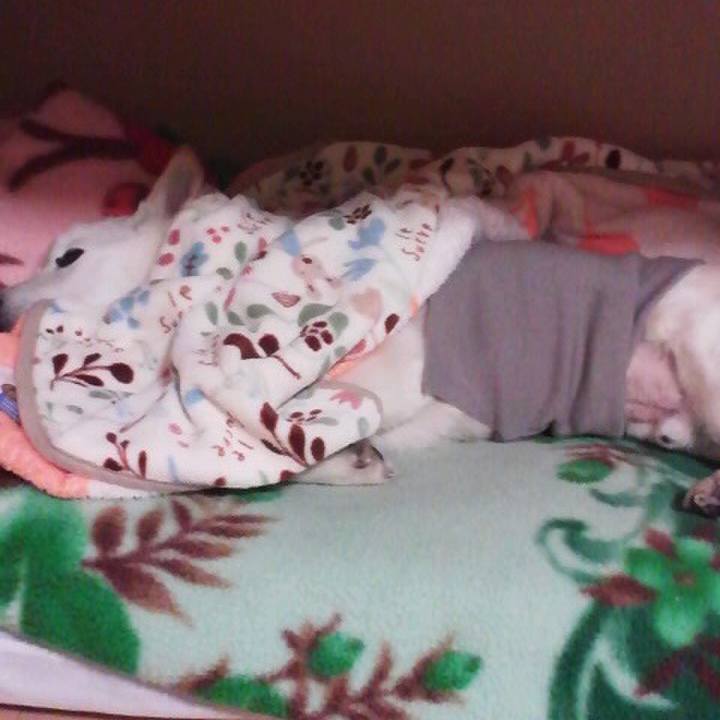 60fb26e8 dbd9 4cc5 a447 d836a5513a2f