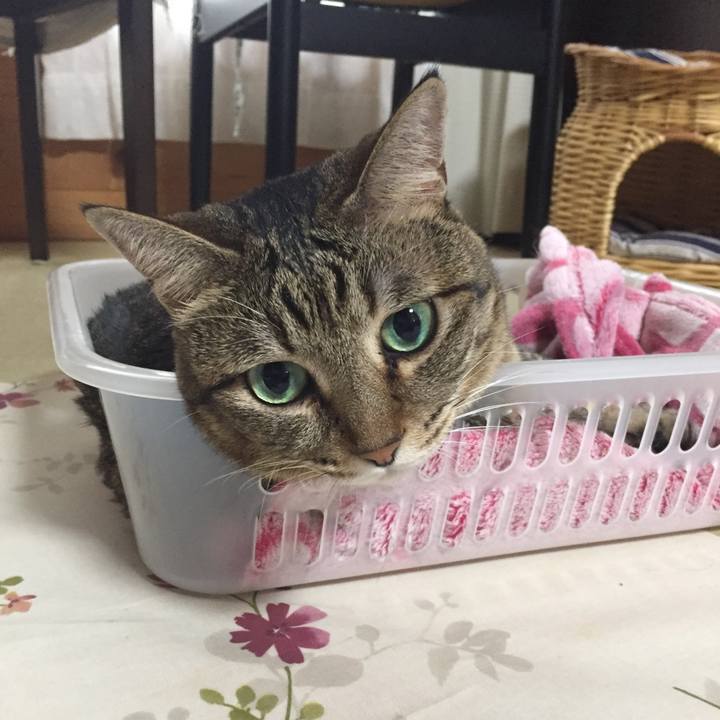 60fe406d 1f2d 4e0a 8b98 5a4b5a25389a