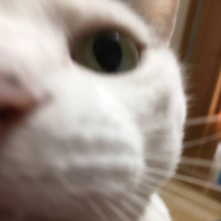 60fe4549 9596 4298 88ba 604e023f58e3