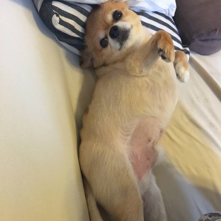 60fe7bdf 7f50 4eae 8895 6d155f88aa17