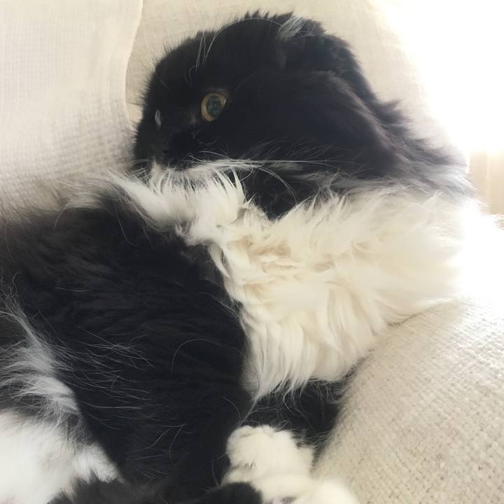 60ff400a cd6f 4d25 8164 fe0fa0191a29