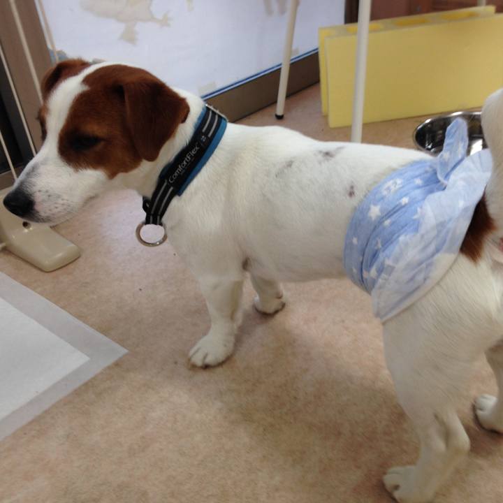 60ffa756 70be 42d7 9111 1fbbe947e755