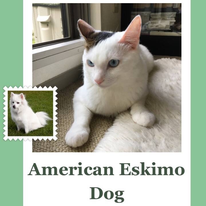 60ffdd88 3e0d 4231 b05b a10b99a932c4