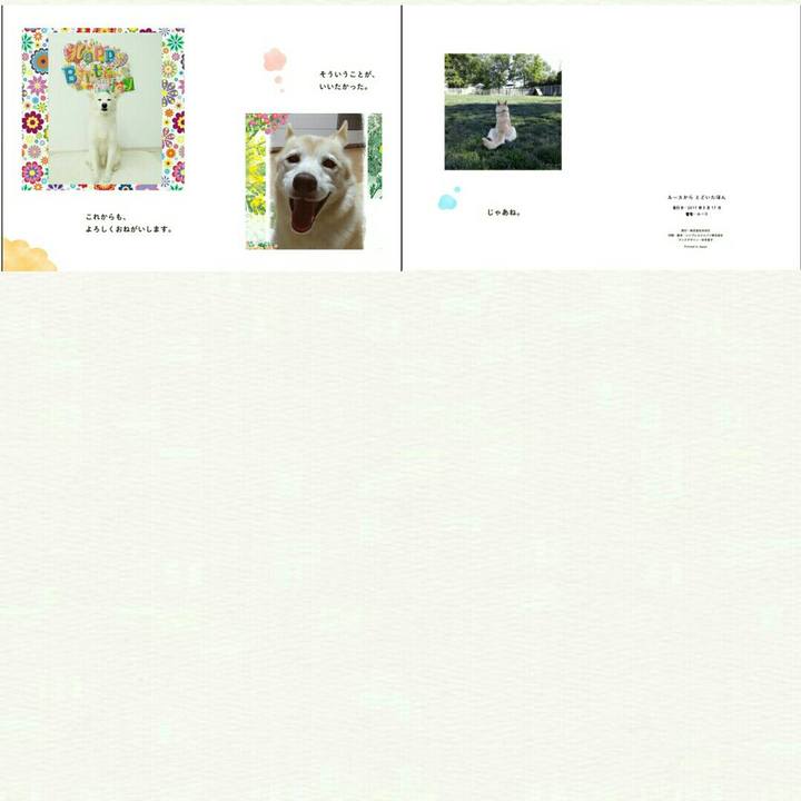 6100008d a9cf 45f2 9028 c159b768c745