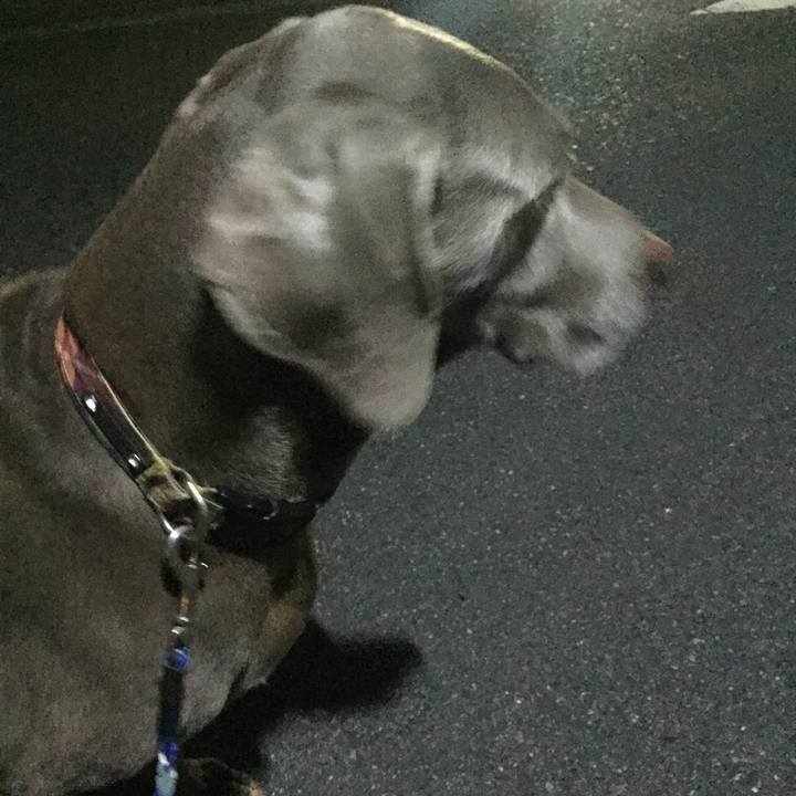 61006096 6888 4c0b 856c cc86ae04989a