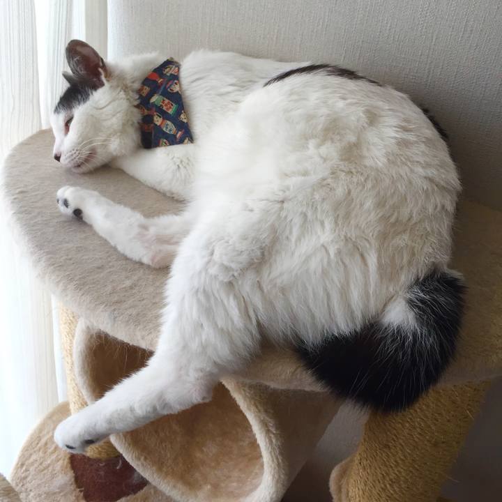 6100d303 9da0 493a bd32 e7af0cfe4ae7