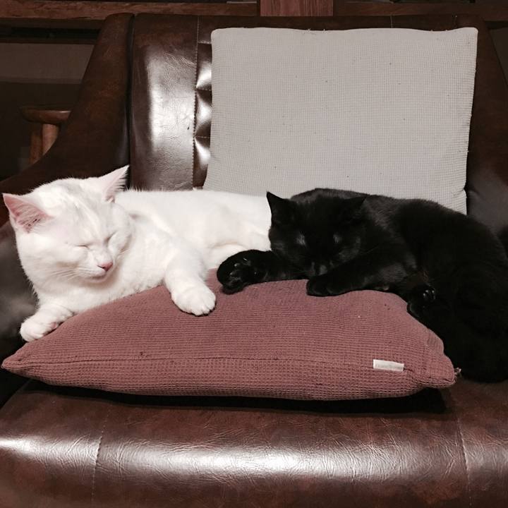 6101f335 312e 47f6 a384 317c19c2c9ae