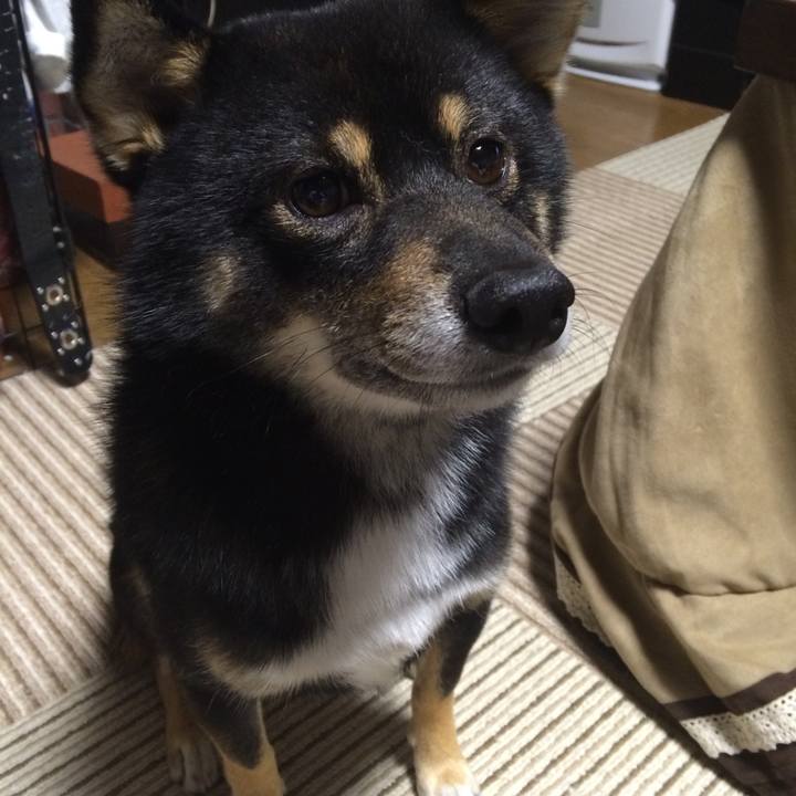 6101fdea adb0 41e3 82d5 71d0903a418d