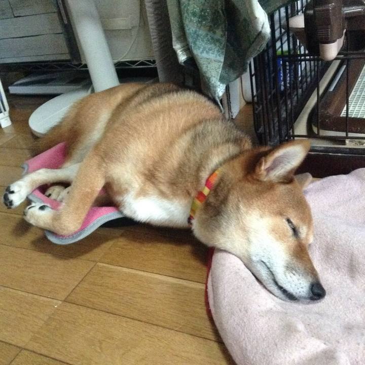 61022c25 f621 4d92 aeda 86c0d40465f1