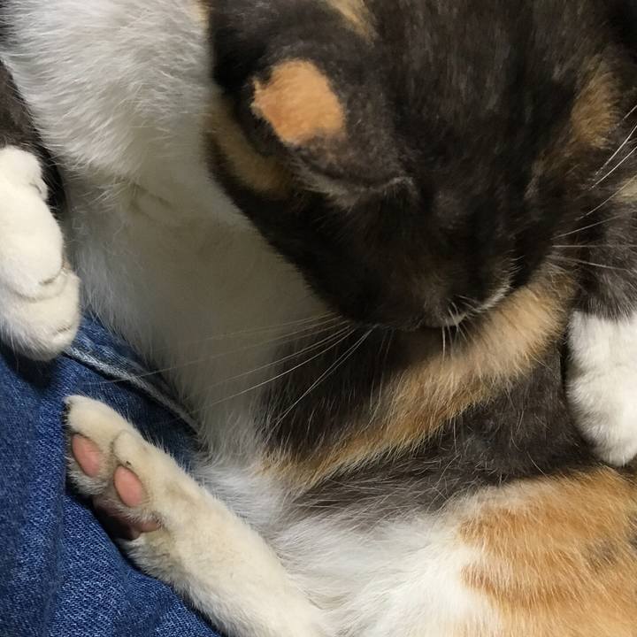 61025da9 d626 4e1d af87 46523928508e