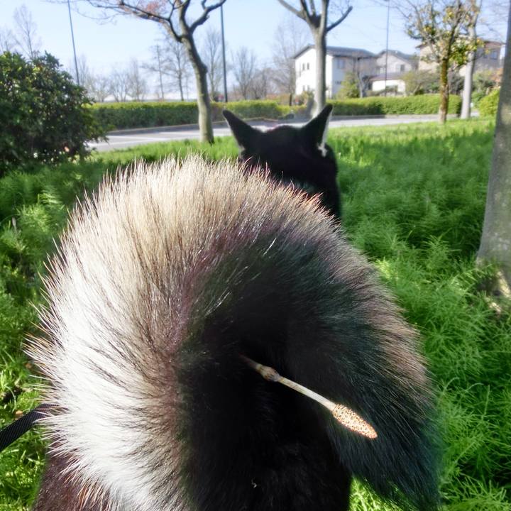 61025eaa 5621 4db8 9694 26f1fea3d797