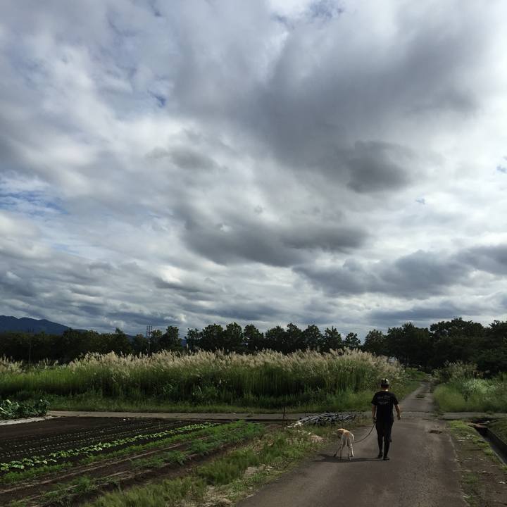 61035545 4c92 4009 a1be b3214b85ba85