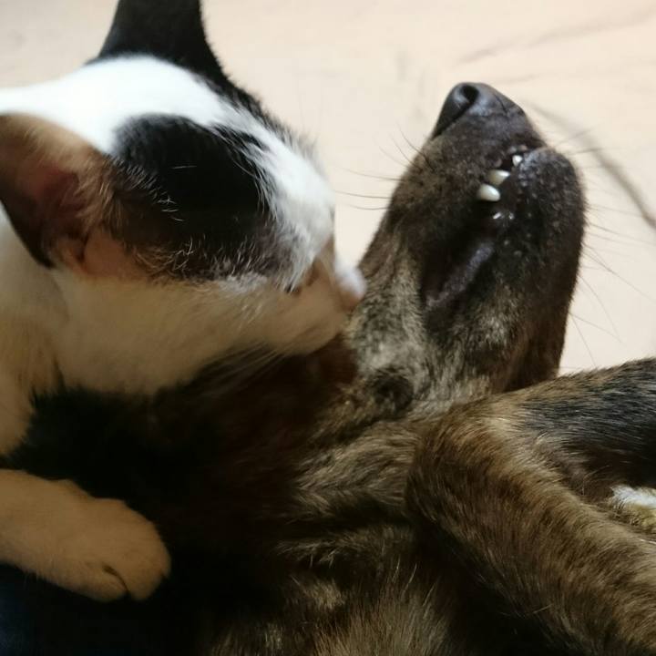 6103fdd5 023f 4203 aaea 1892bfc84f2a