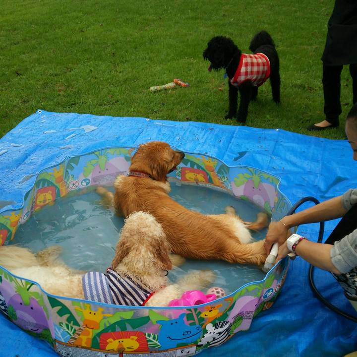 61043423 fa1a 4393 a682 e654d87ac2c1