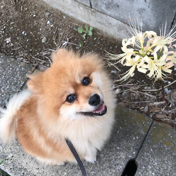 6105257e a565 4611 abd4 845756f1572d