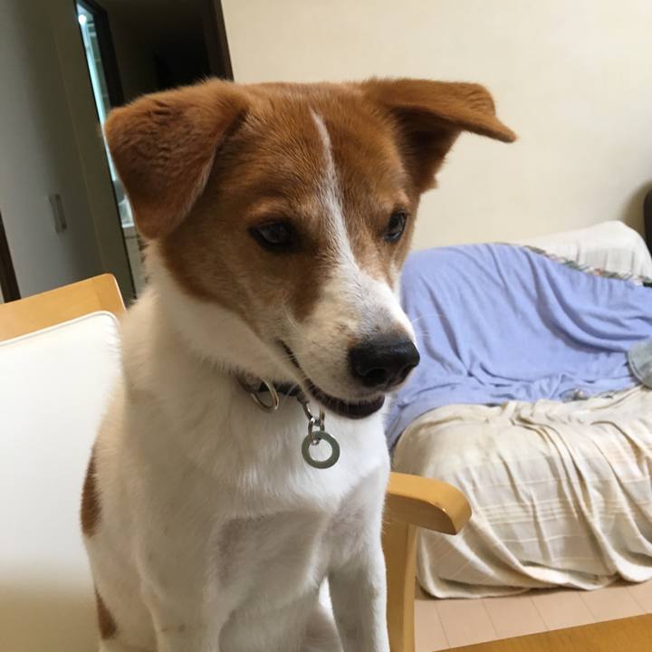 61056295 6bb0 42bb b35b f699302ae3be