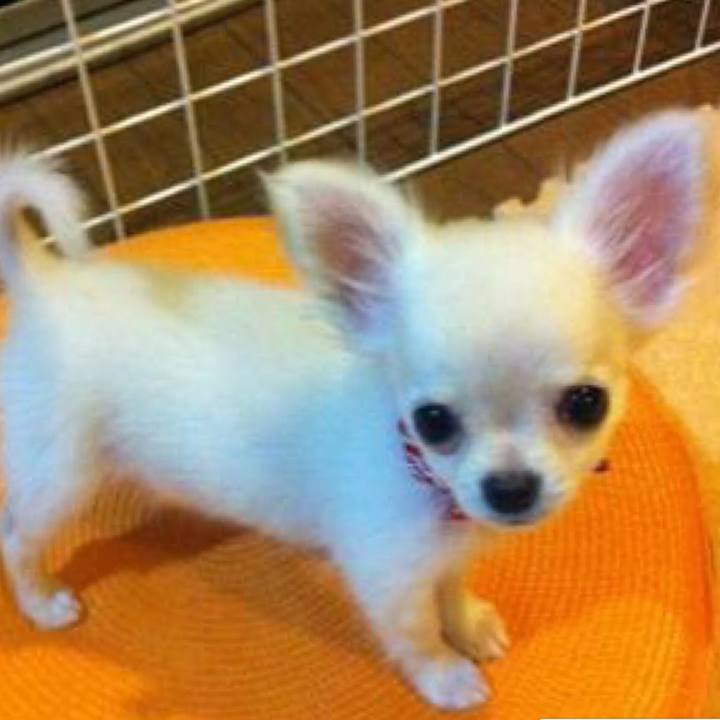 6106354a 3f7a 469d b269 2d19e3610c01