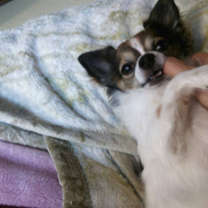 6106c506 3ea0 4235 b0cf b3ad3f1676cd