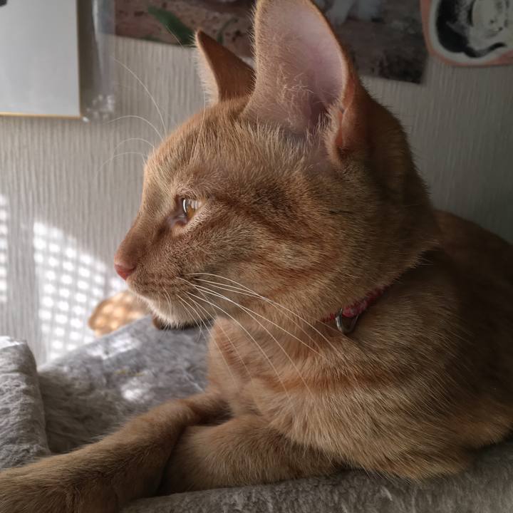 6106e42f bf96 463c b9e7 ab920ce37227