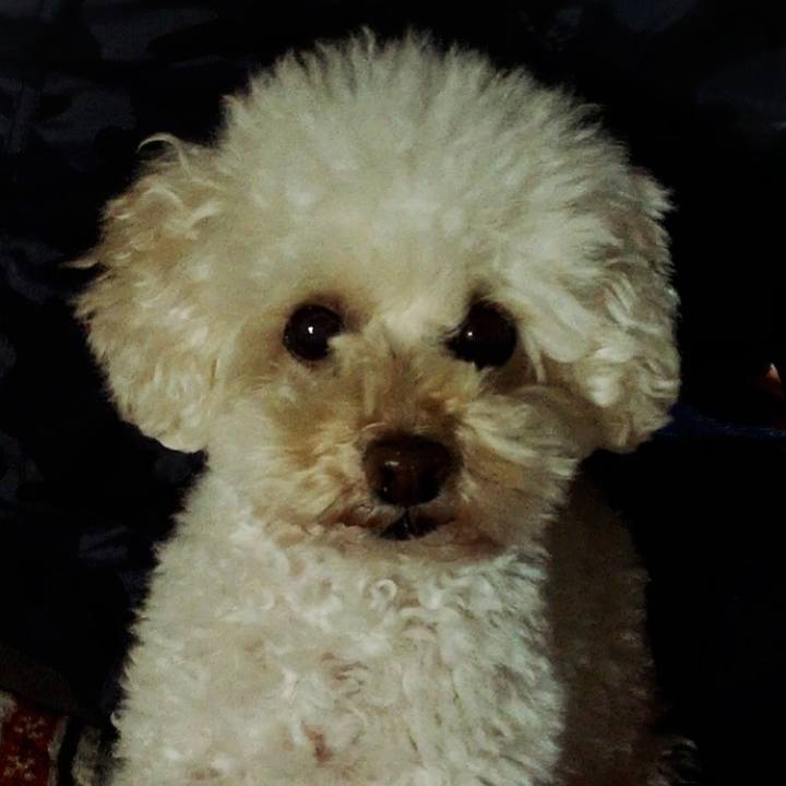 610748c9 a8a5 46a3 b0ae 355f5afa17fe