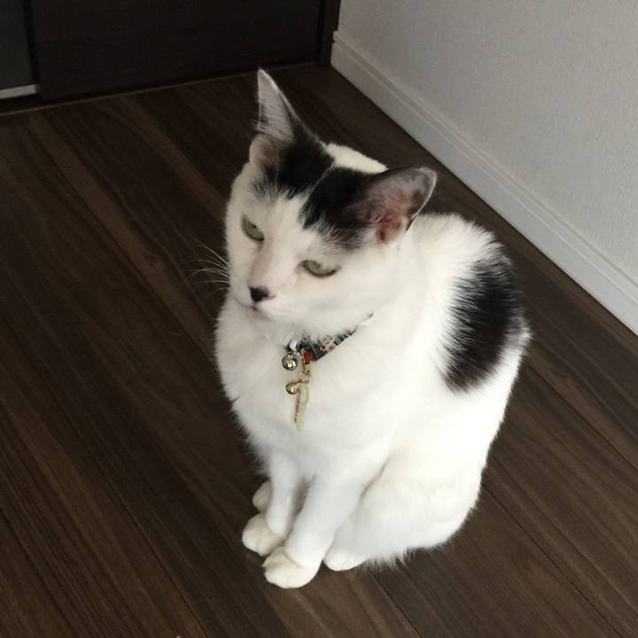 6107629c b5e8 41eb a946 8e9643ec6b5a