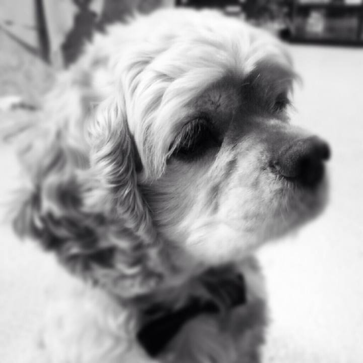 6107dd96 fddd 4c79 be37 308b4807d654