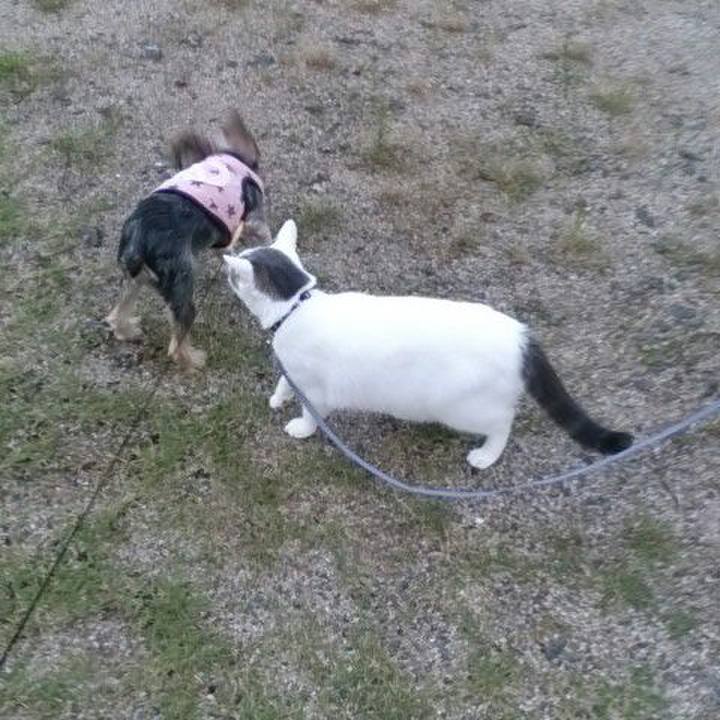 6108977e f58a 44c3 93f7 4a77f8f5d529